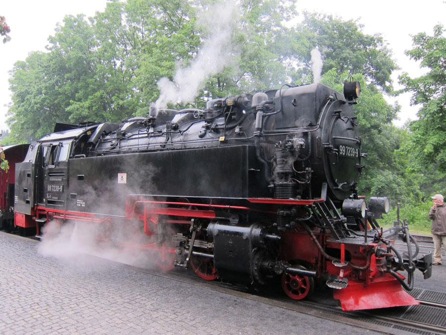 harz2.jpg