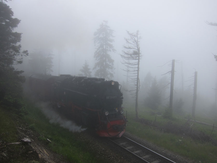 harz7.jpg